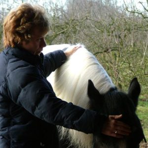 Sue Leet Therapy with People and Animals